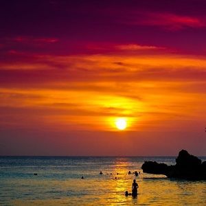 Meet your Posher, Lady